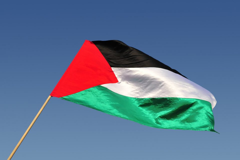 Bandiera palestinese.