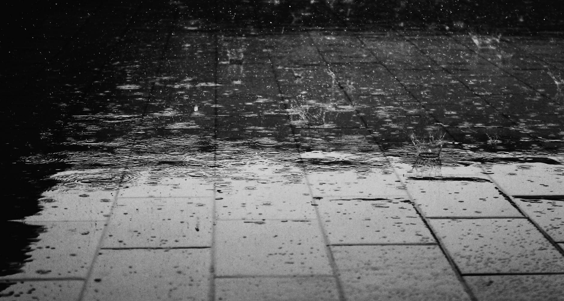 greyscale photo of rain drops